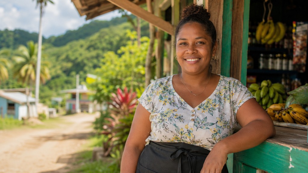MICROLOANS