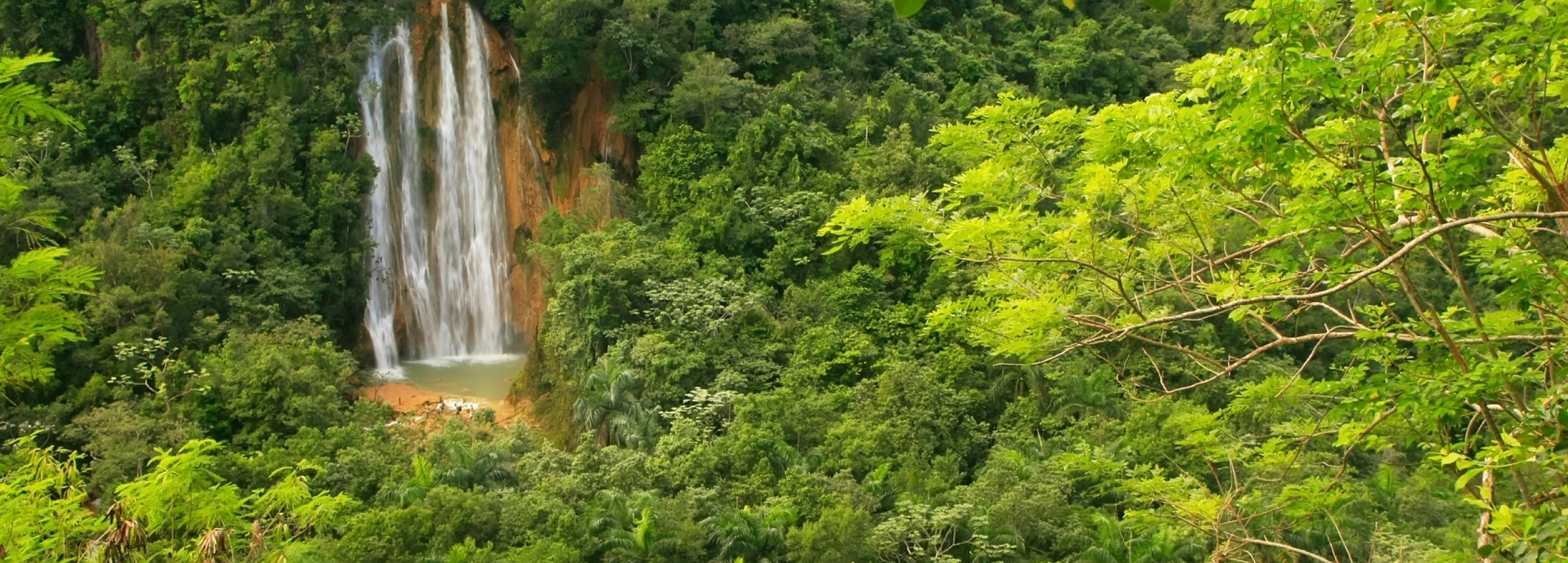 Los Haitises National Park: a journey through ecosystems